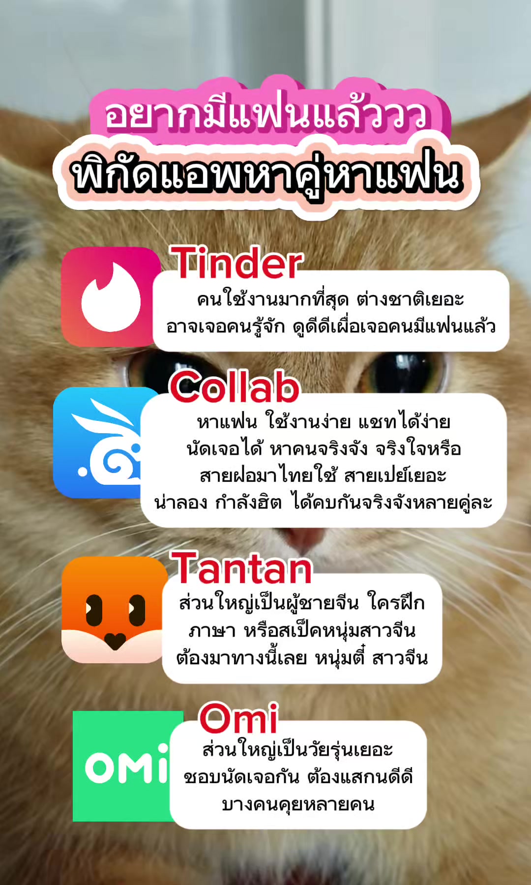 @Collab คนเหงา