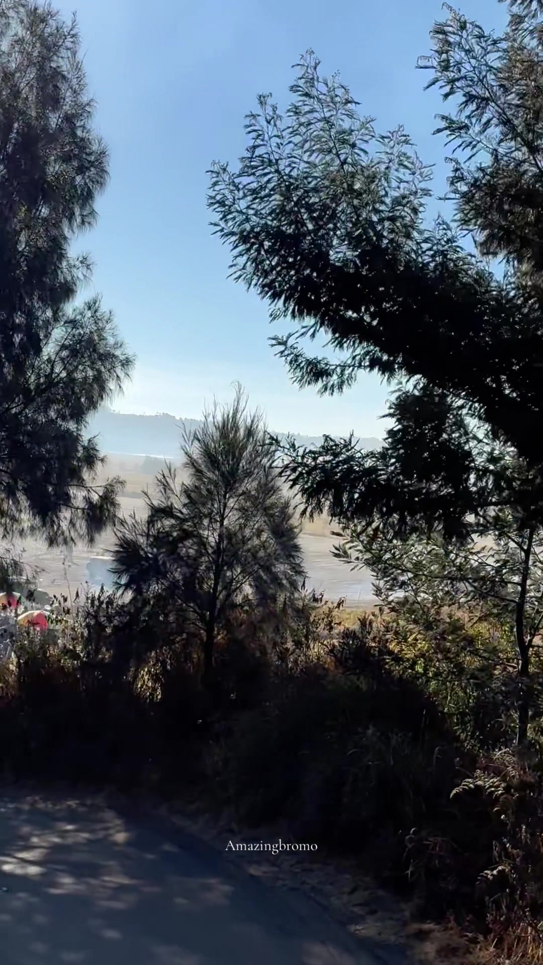 @Amazing bromo