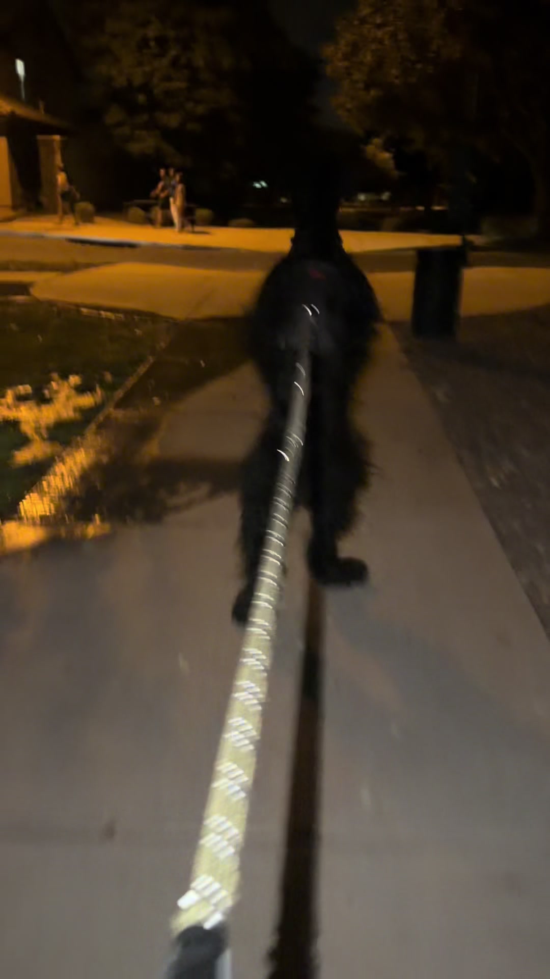 @Fiona Walks