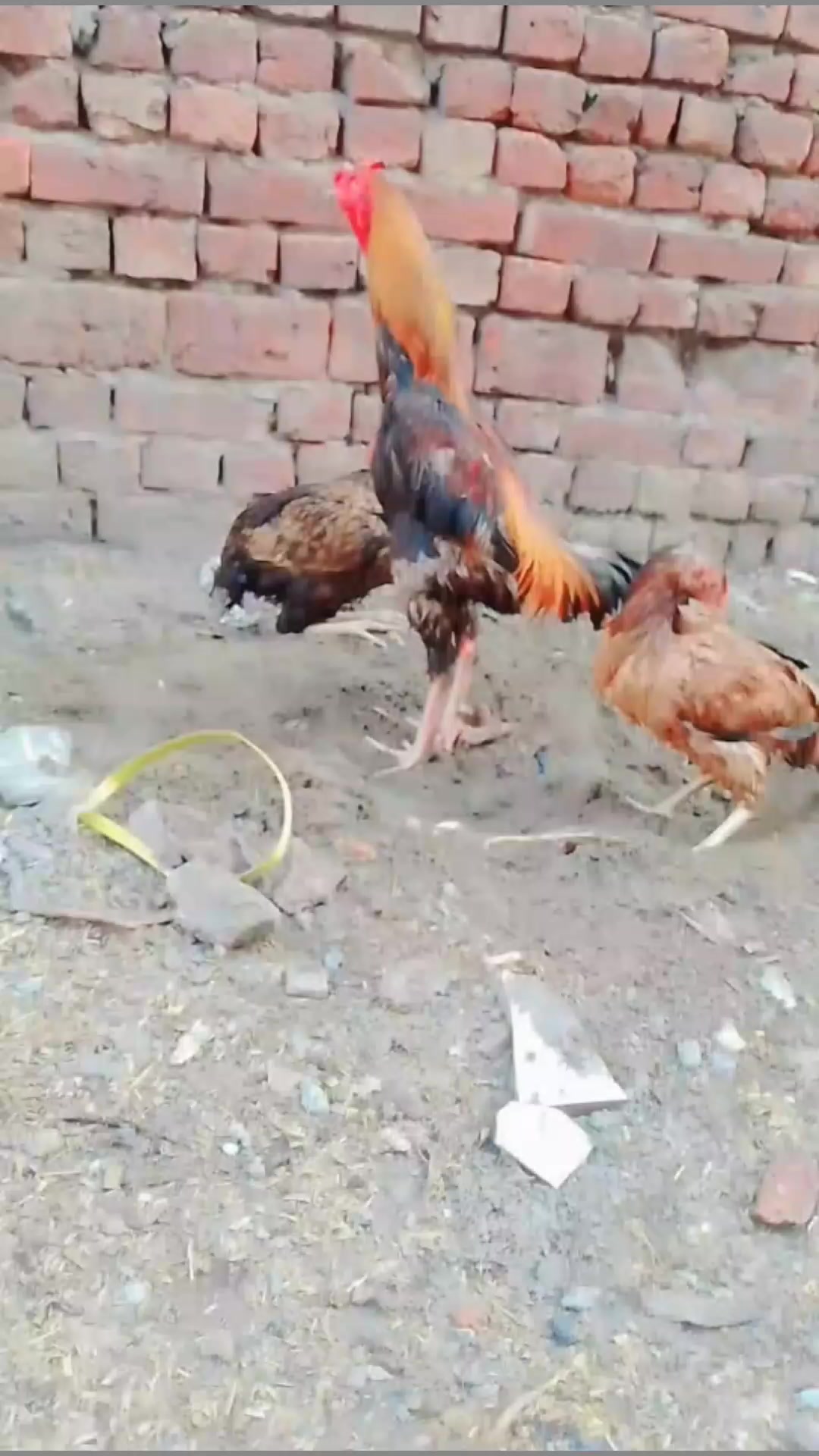 @aliraza777