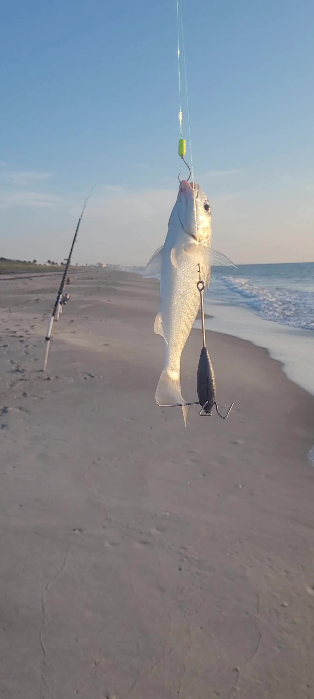 @Ghost of Space Coast Fishing