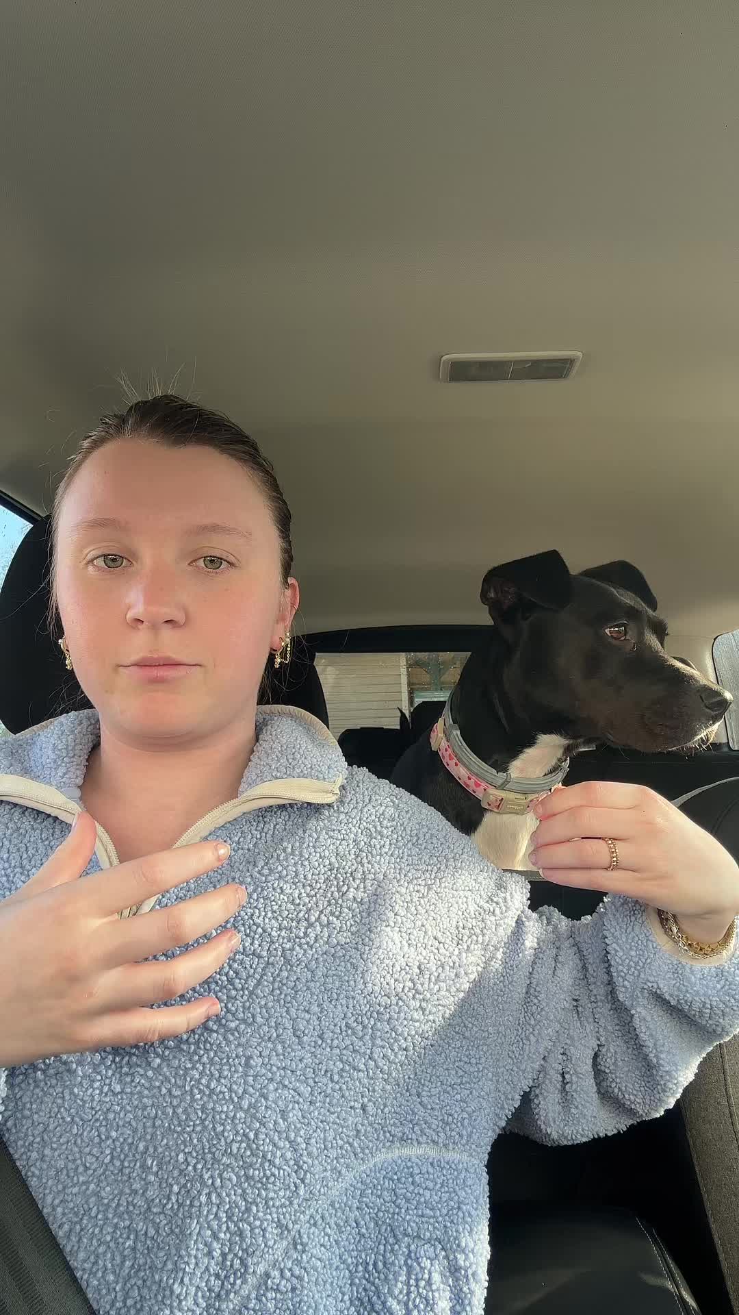 @Megan Shadbolt | Dog Momma🐶🦴