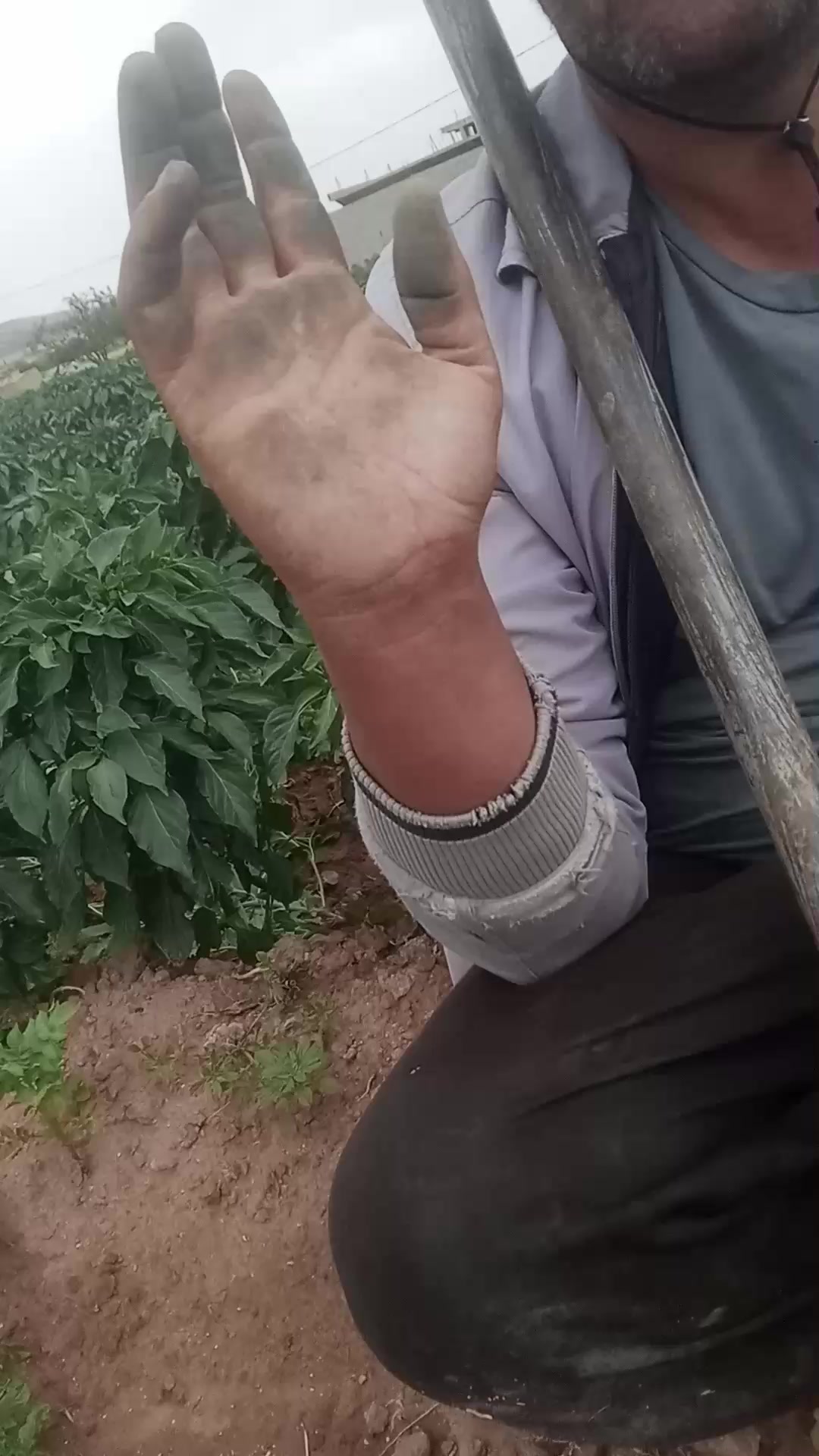 @๐ฆ
ุจุงุชูู ๐ธ