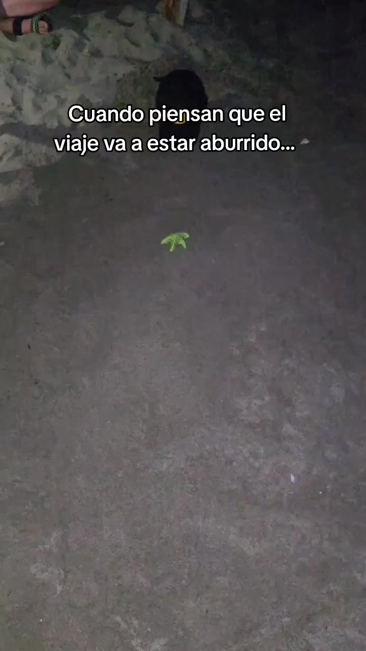 @HolasoyCristhian