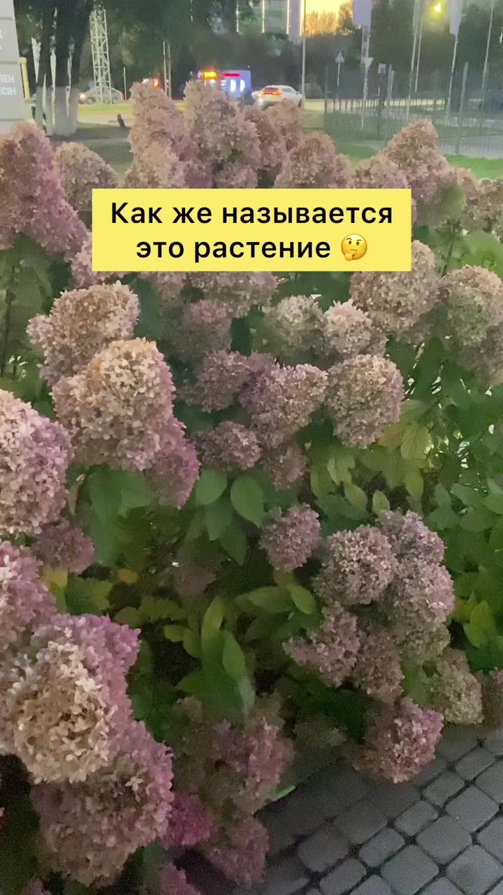 @Уральск Интересно