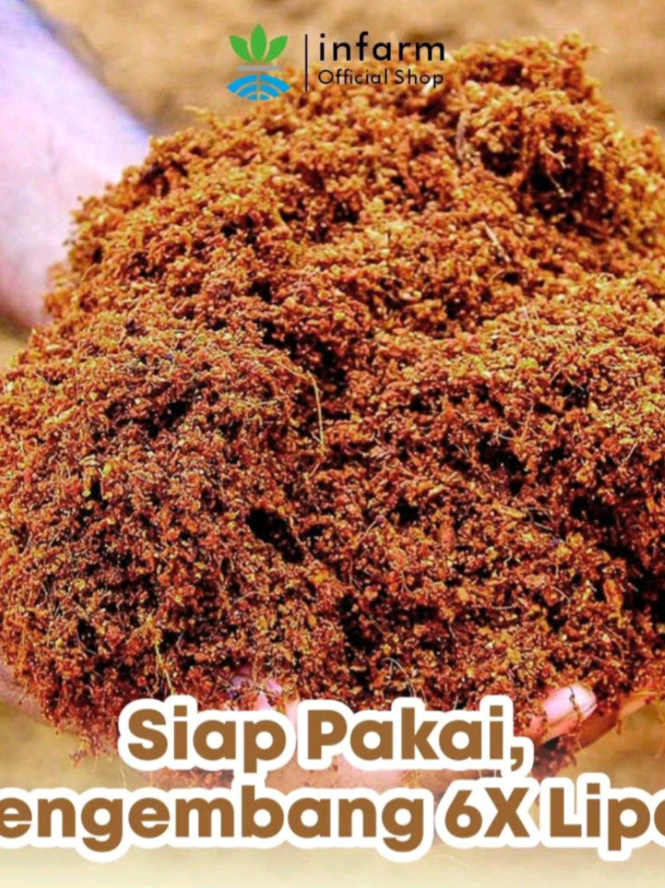 @Berkebun Berkah