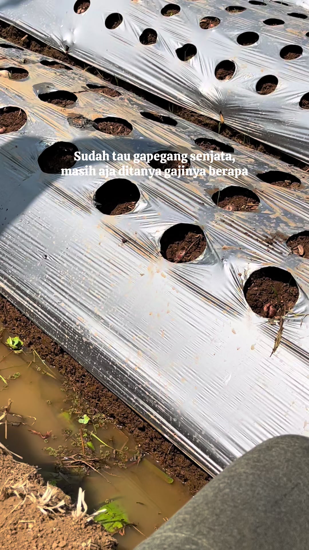 @𝙨𝙞𝙝𝙚𝙡𝙞𝙭𝙭