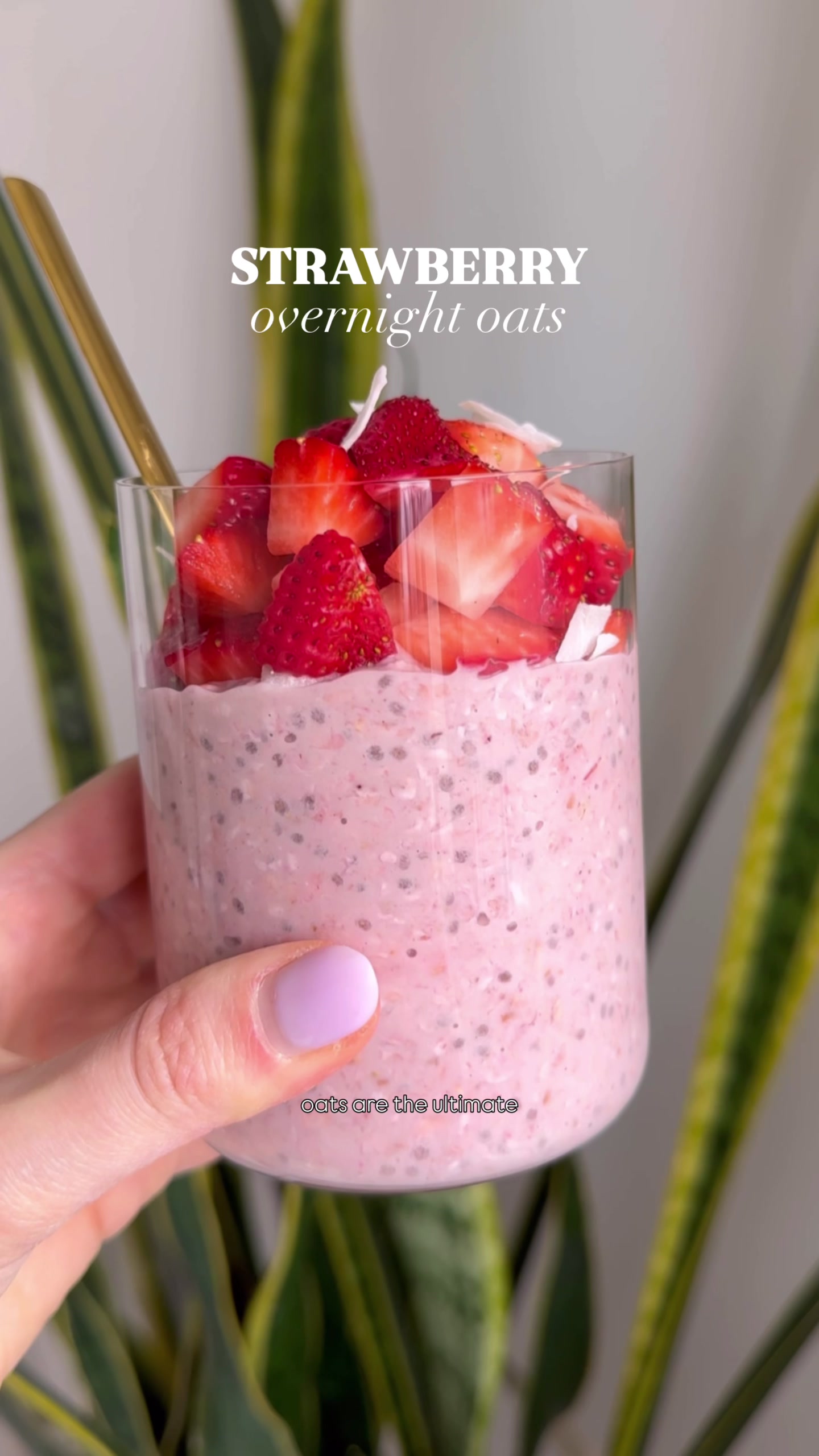 @Jess- Easy healthy recipes