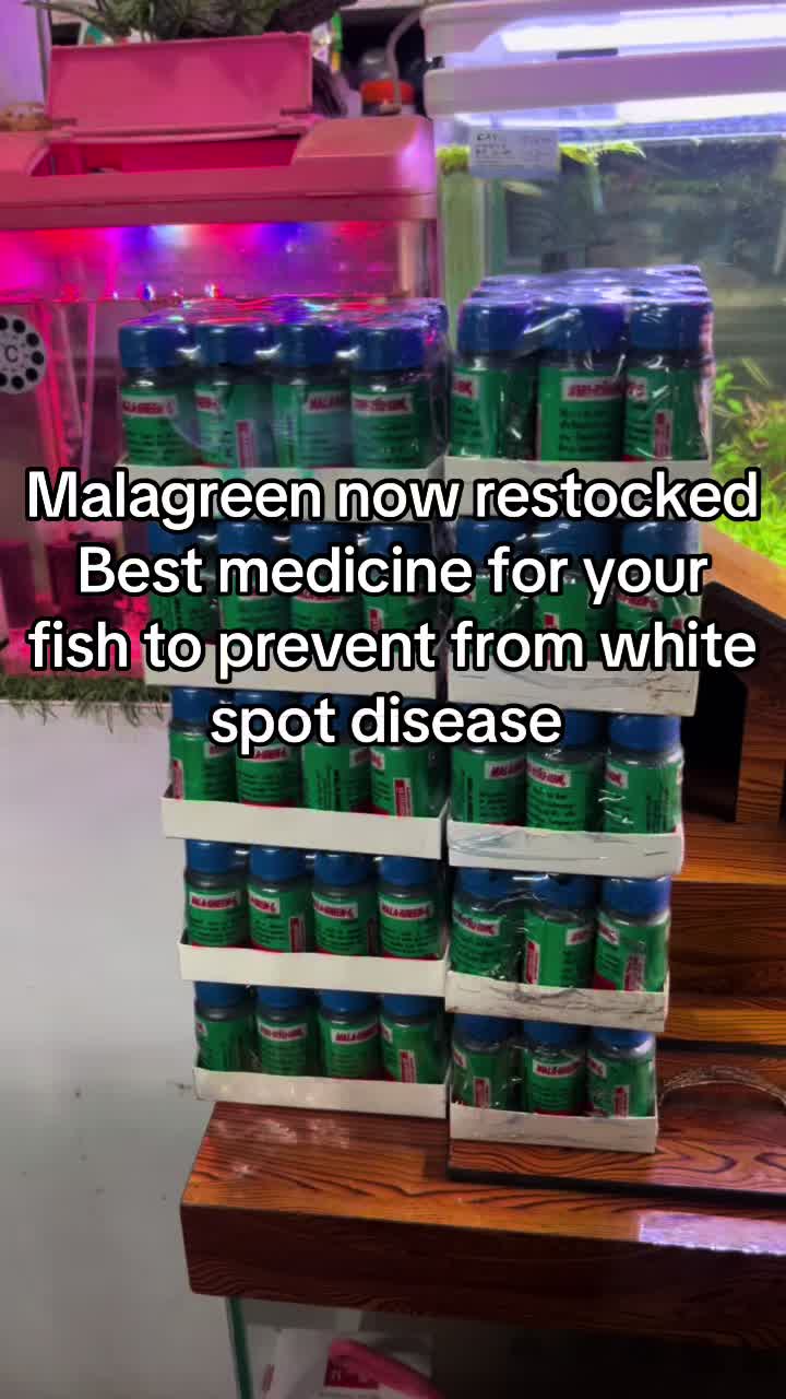 @aquadesire2🐠🐠