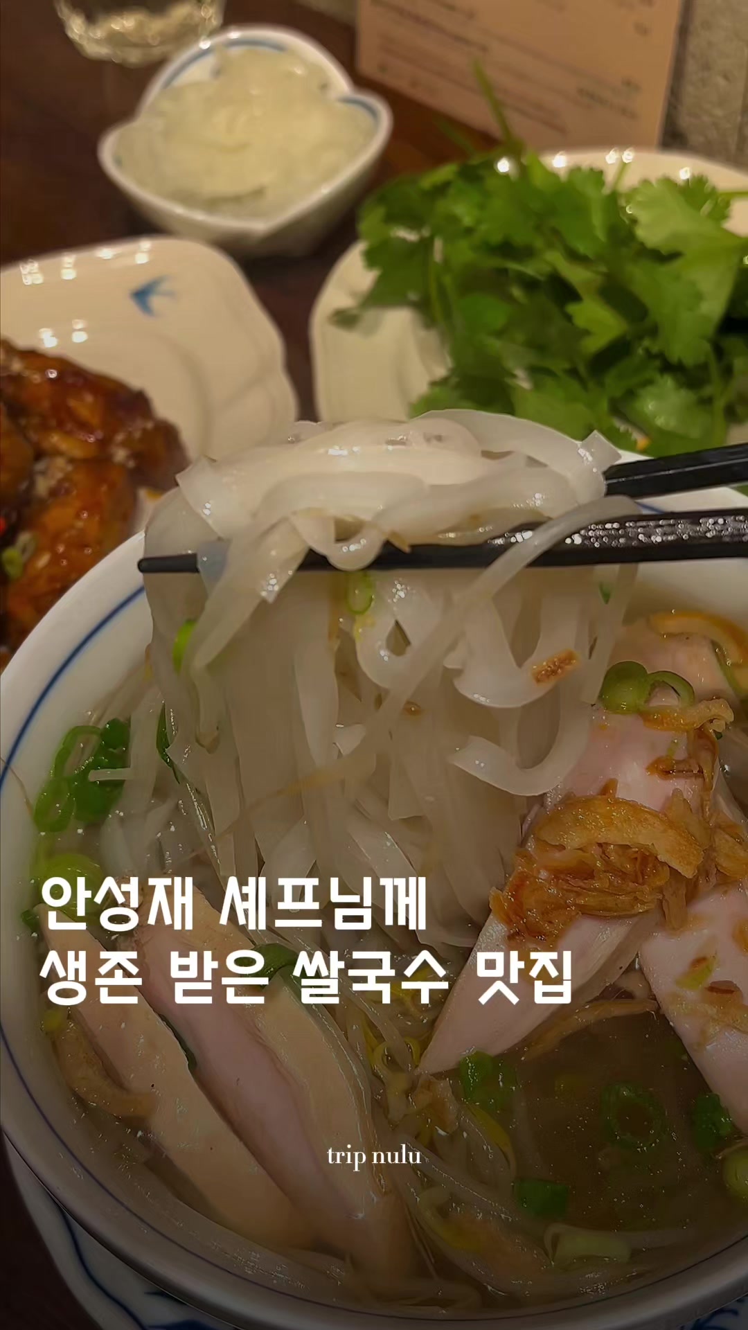 @여행 떠나는 눌루 Trip nulu