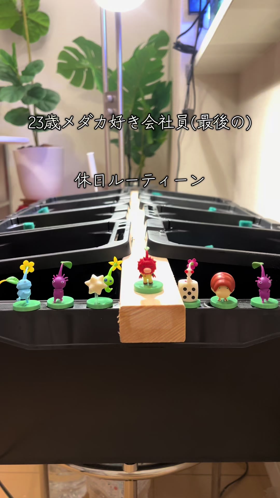 @メダカ屋の見習い🔰