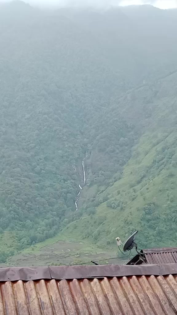 @Sarika Singh