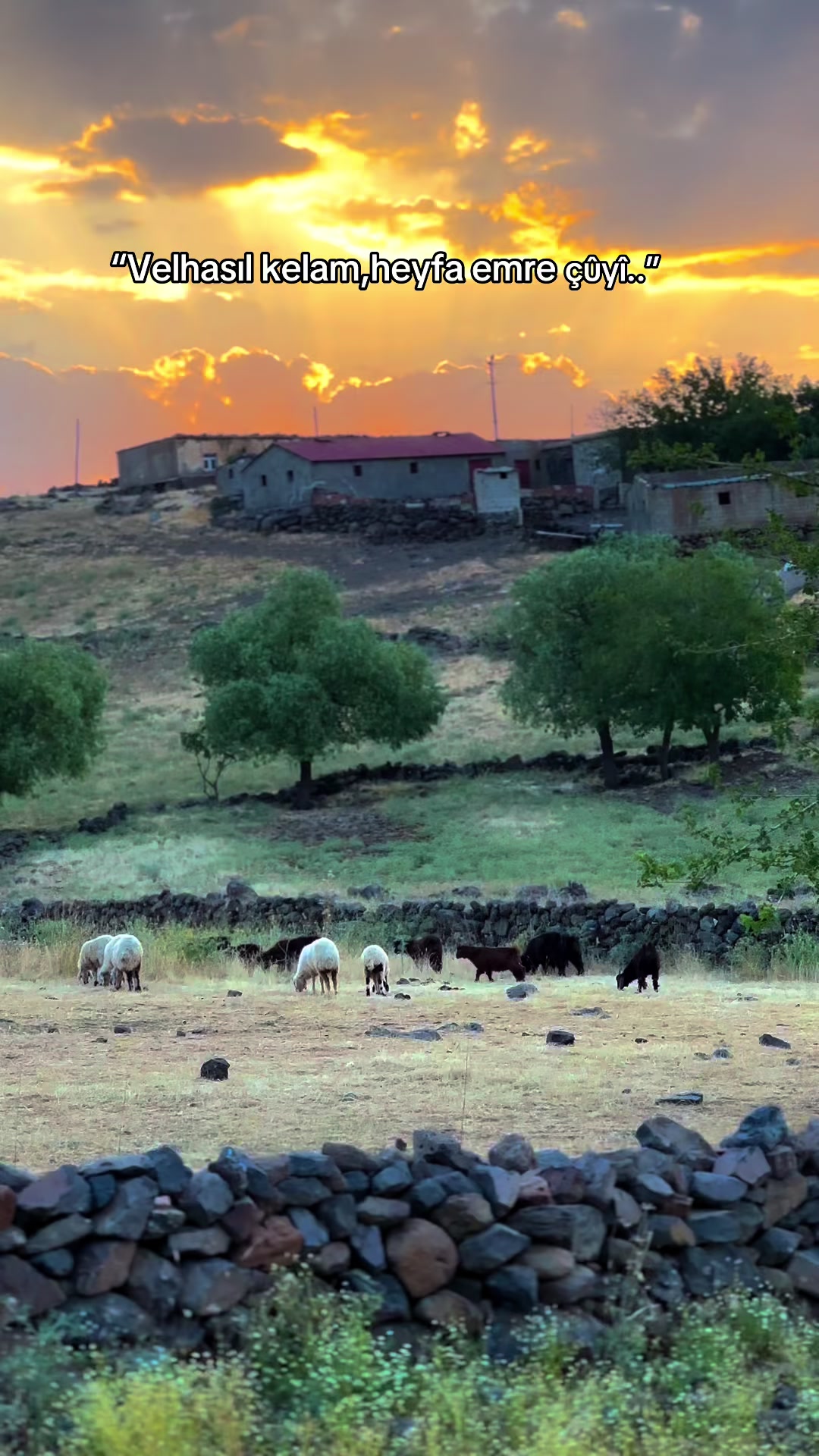@𝗘𝗟İ𝗧 Ş𝗜𝗪𝗔𝗡☀️