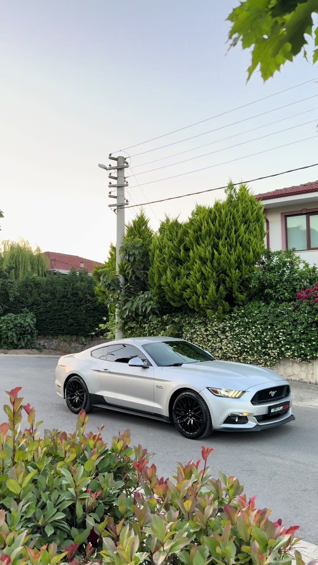 @G&Uuml;ROL EGE GARİP