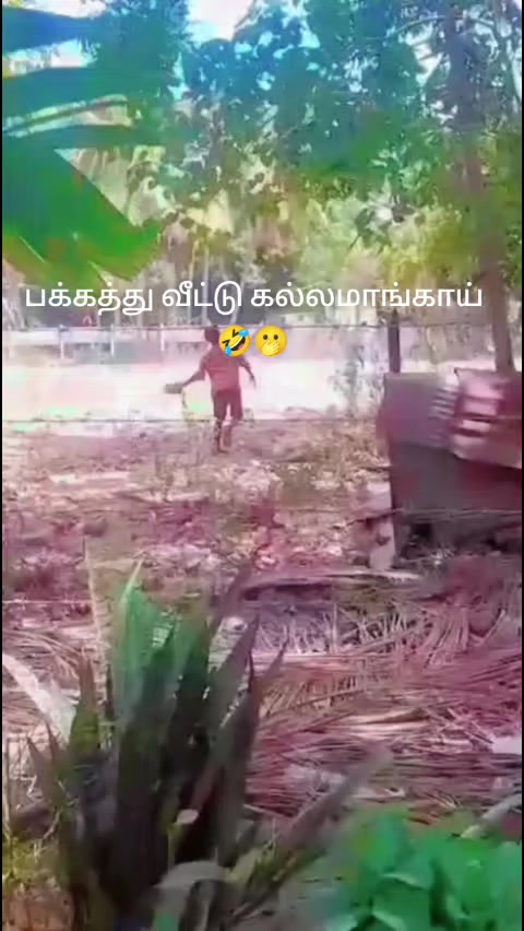 @🦅🐅 EELAM 👑King 🦅🐅