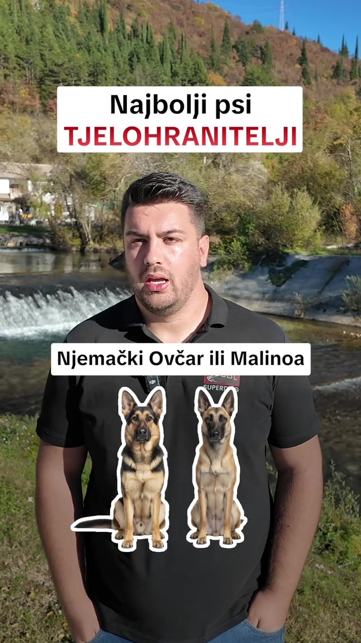 @superdog.akademija