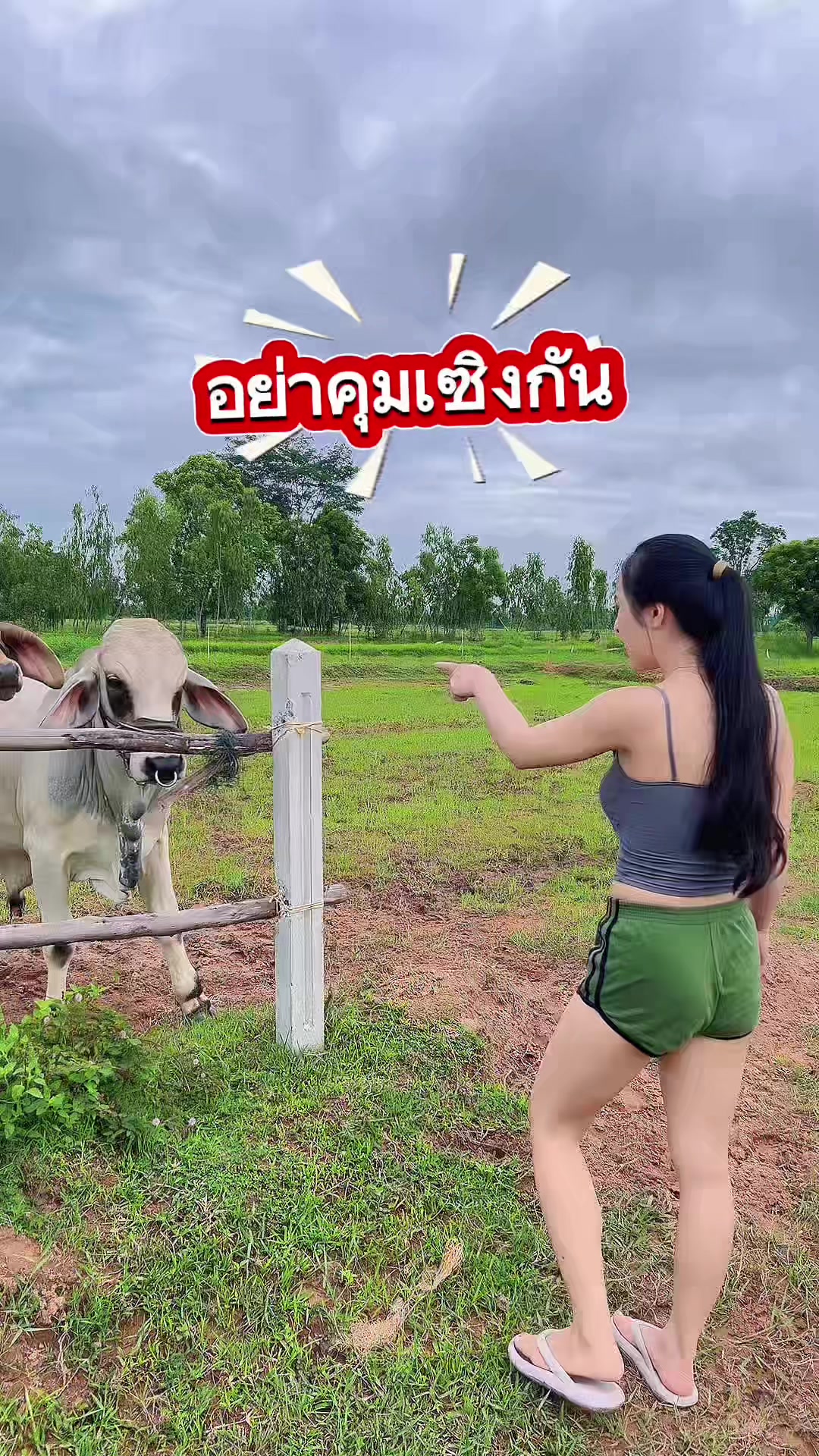 @AA Aranya Farm