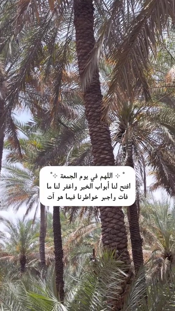@MShehadeh