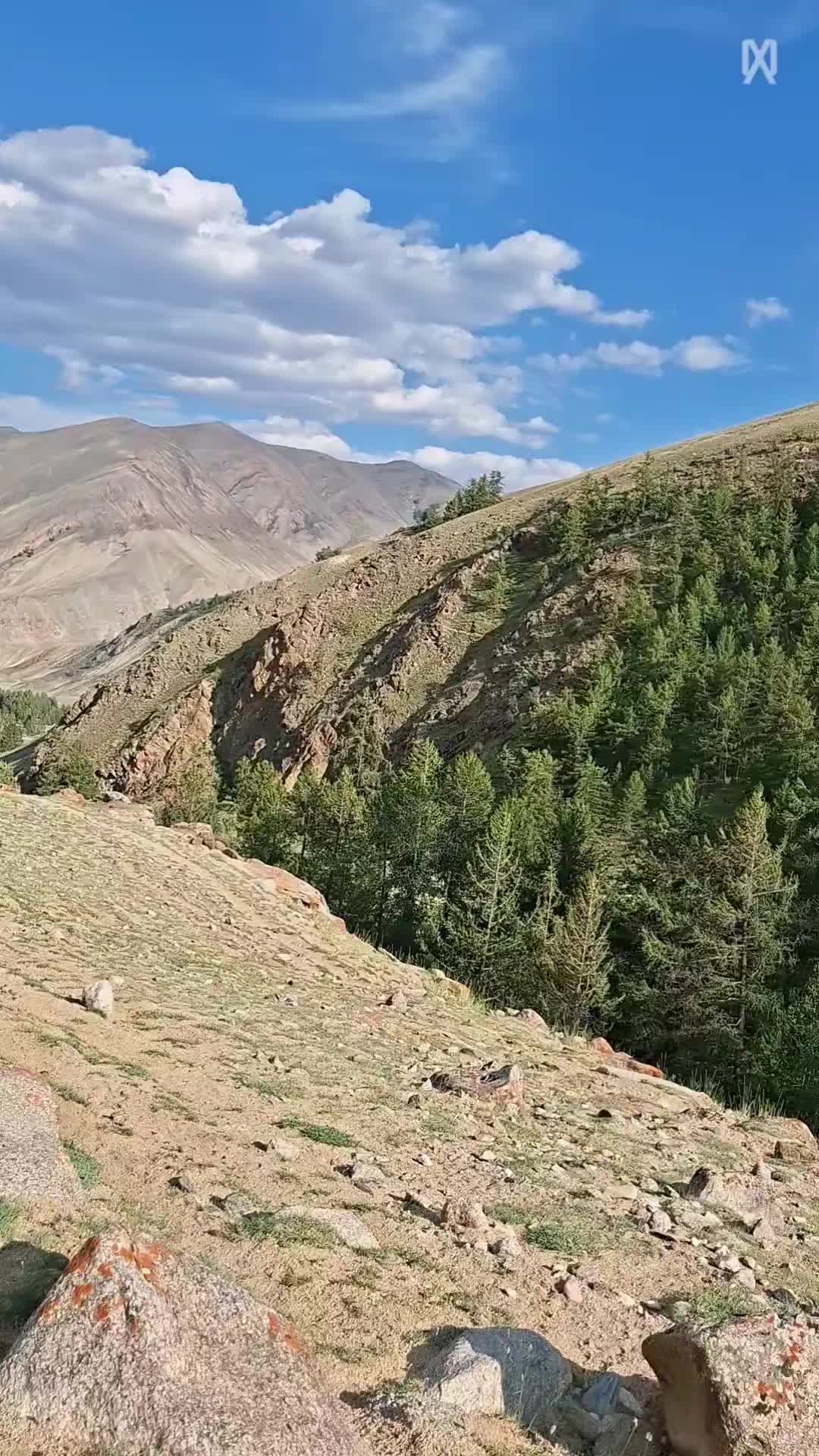 @MURAGYER ERBOL