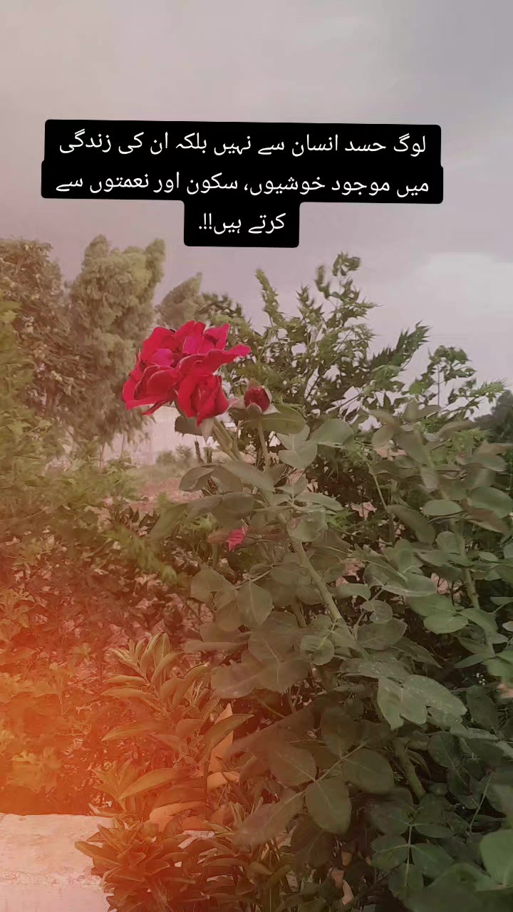 @ژوند پرست 🪐💫