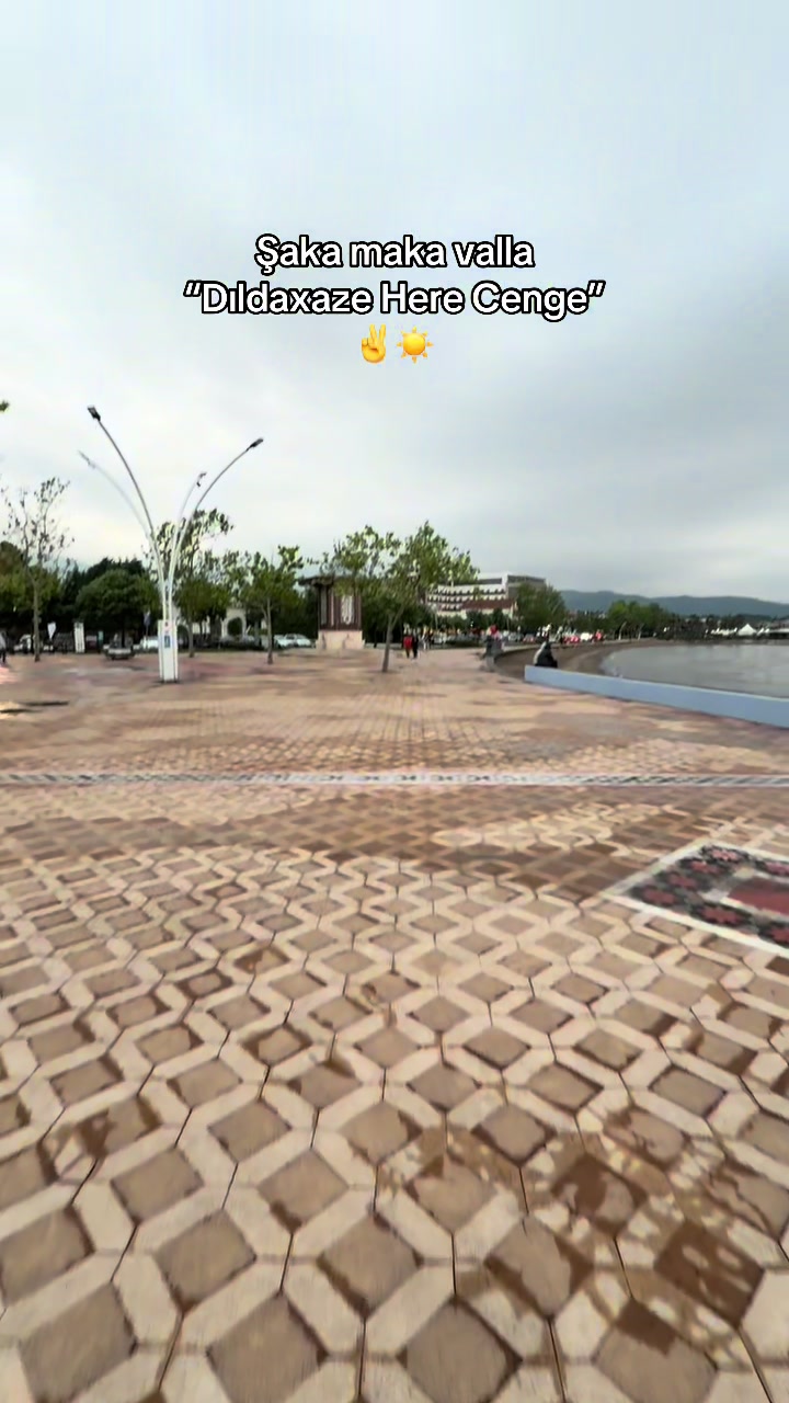 @baran_ak737