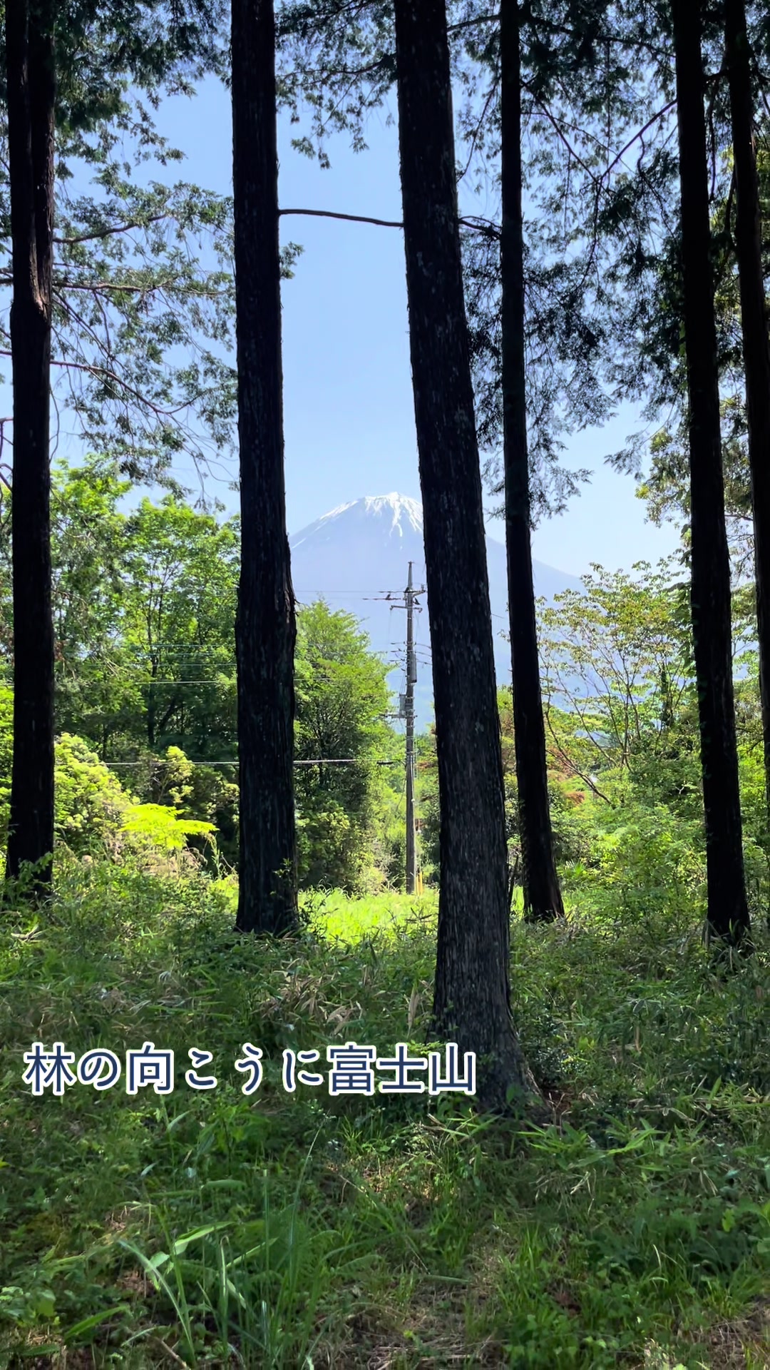 @若林昭子