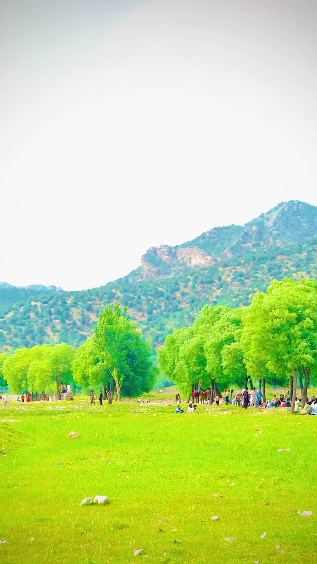 @Viki Afridi✌️804🫣💞