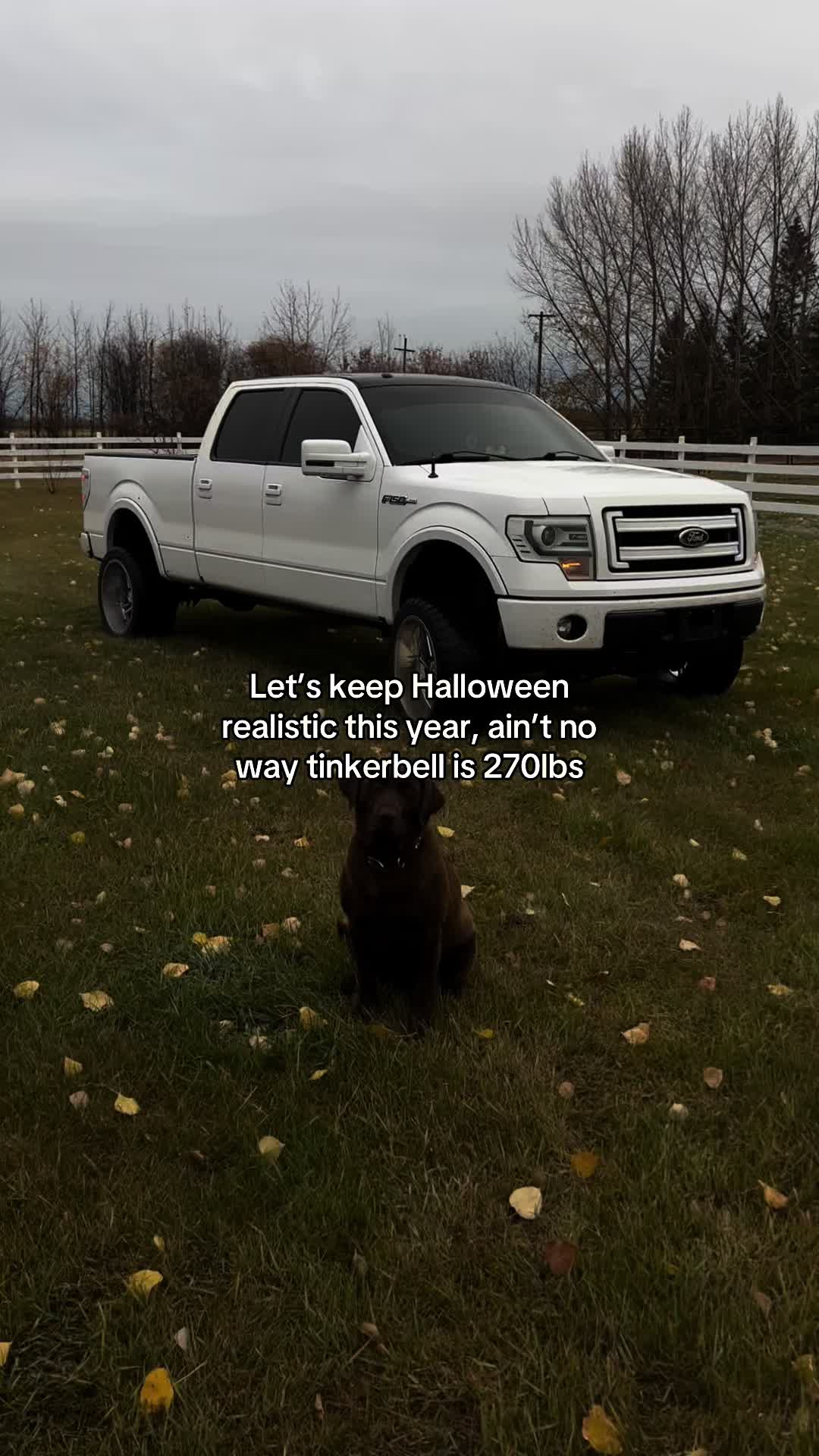 @Frosty5.0❄️