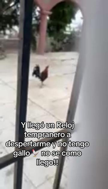 @Dee Enloe oficial