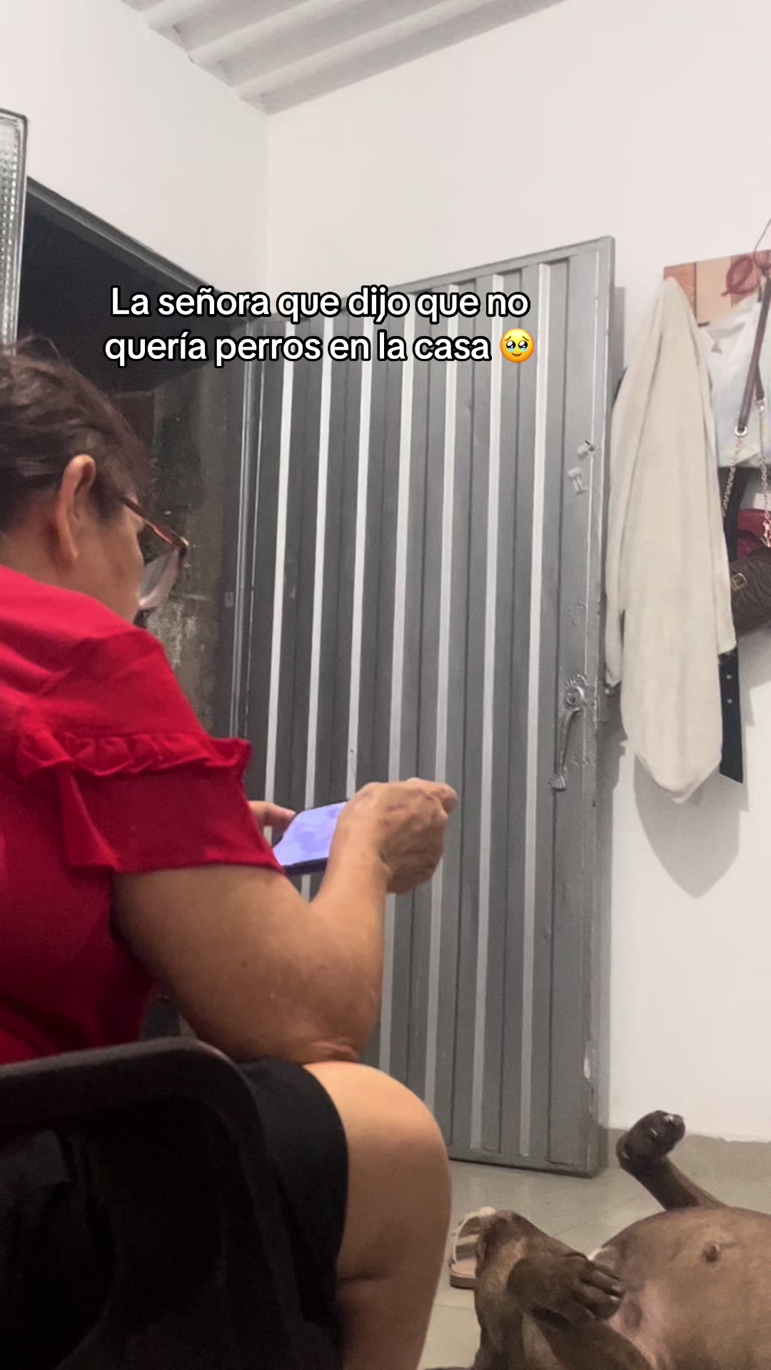 @Laura Villamizar