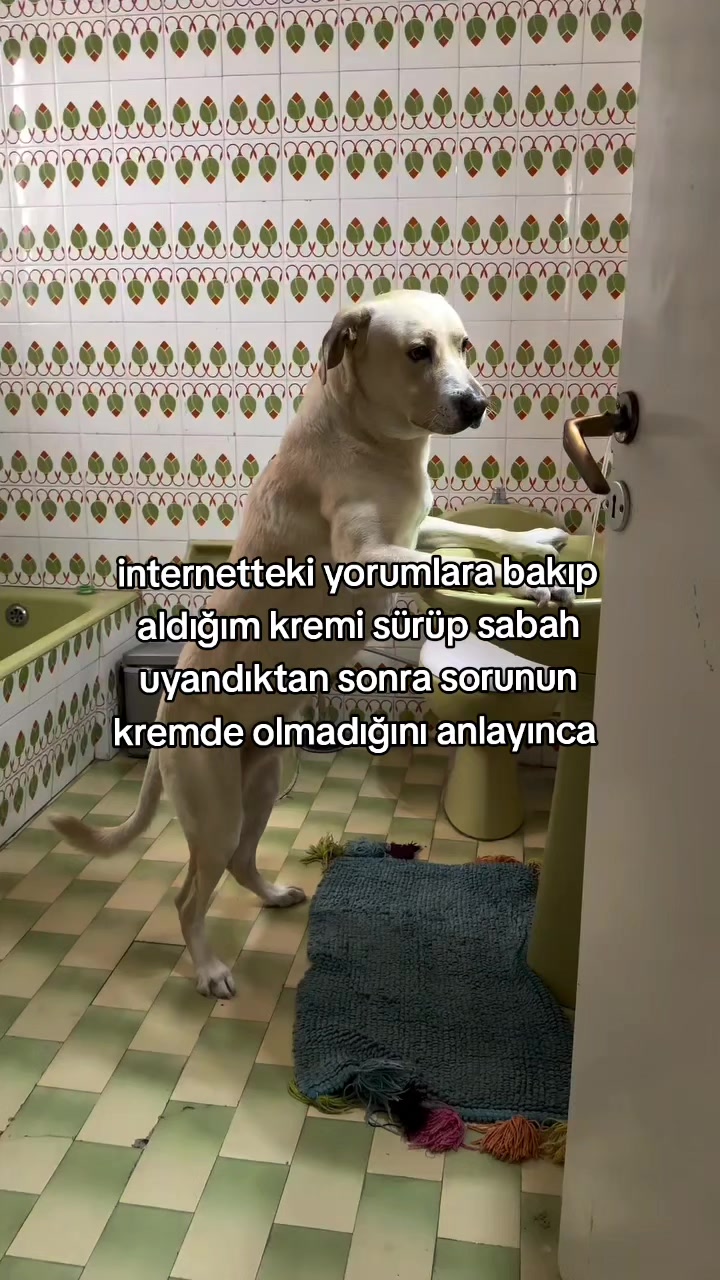 @rolland