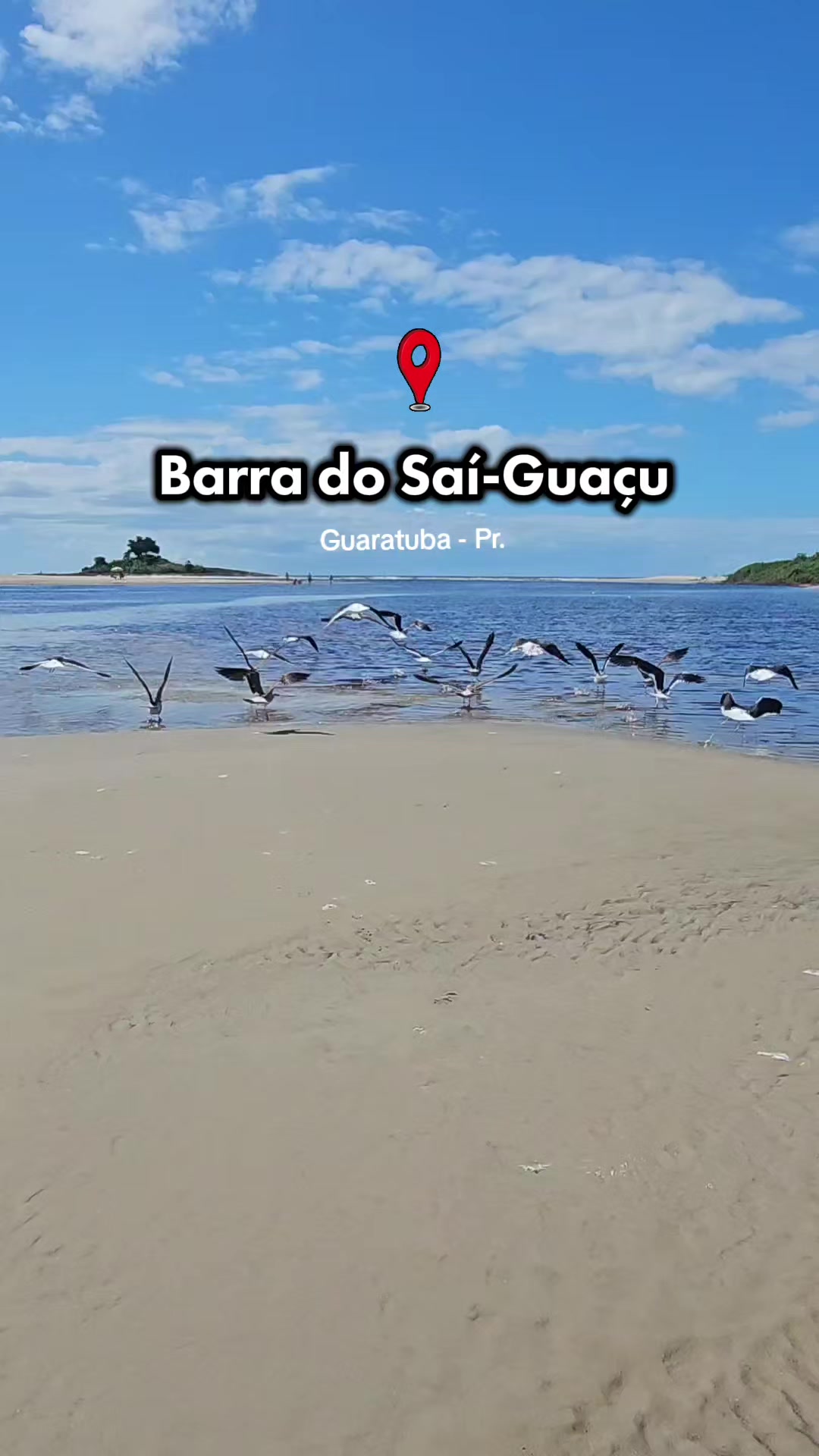 @coroadosebarradosai