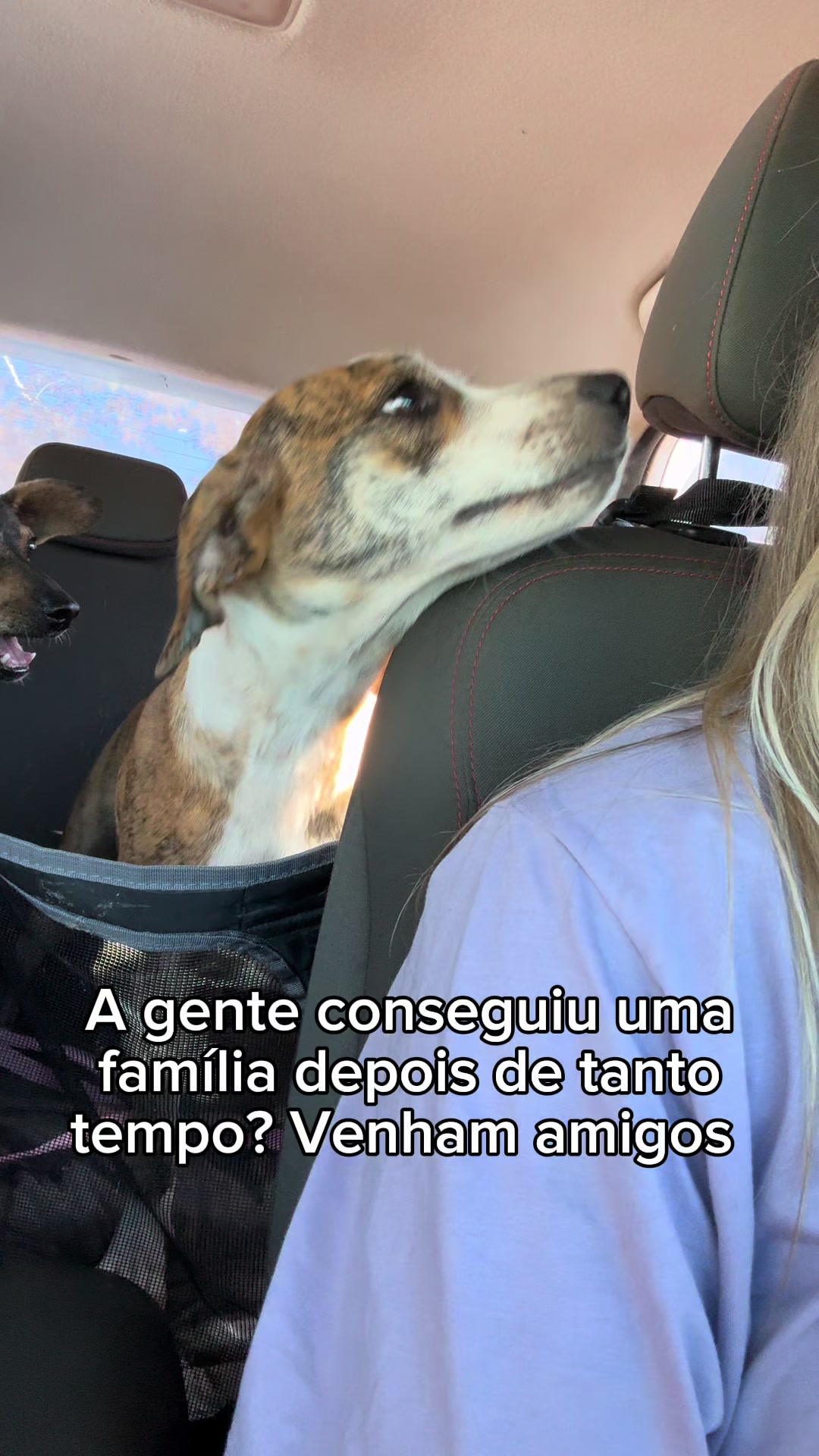 @Alma de Patas