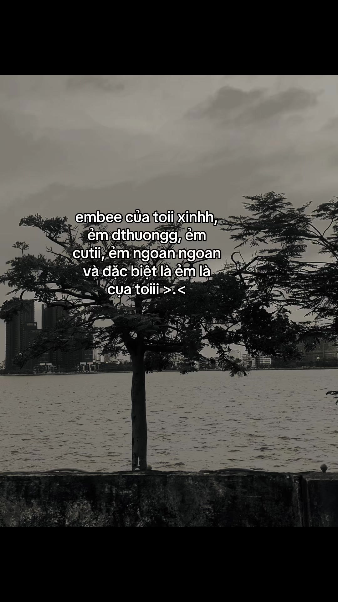 @𝓜𝓲𝓷𝓱 𝓒𝓱𝓲ế𝓷