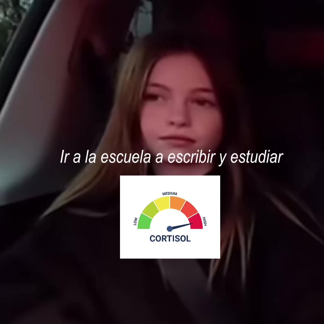 @yoamizu