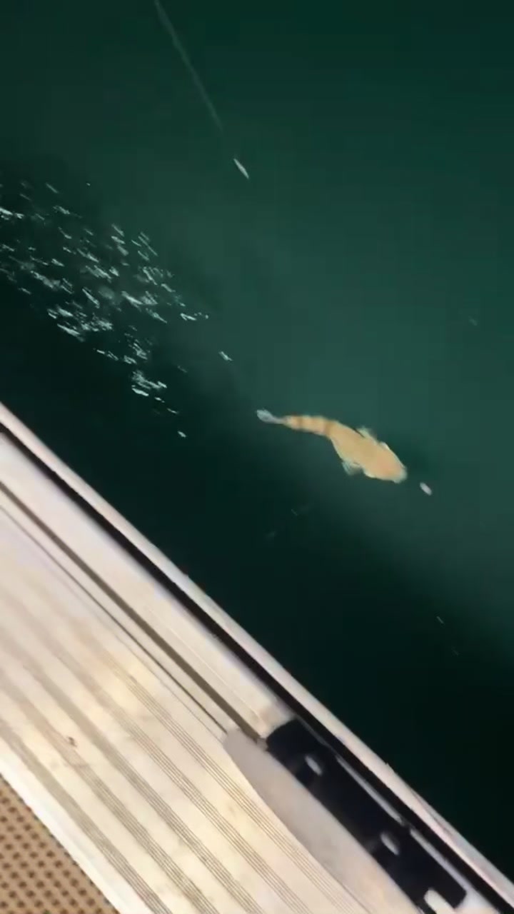 @1kw.Zak