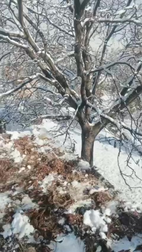 @abubkerkhan313