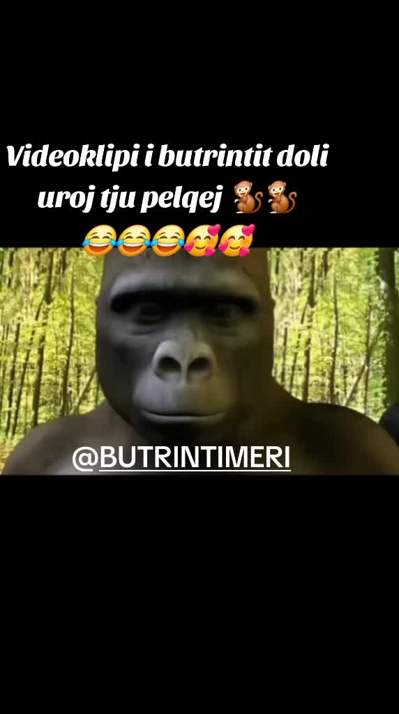 @🐵𝕄𝕒𝕛𝕞𝕦𝕟𝕖🐵