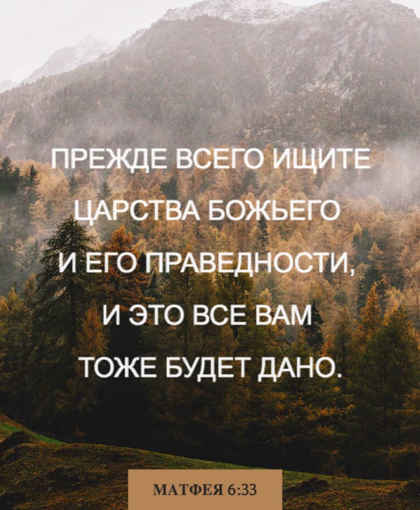 @Екатерина🐞