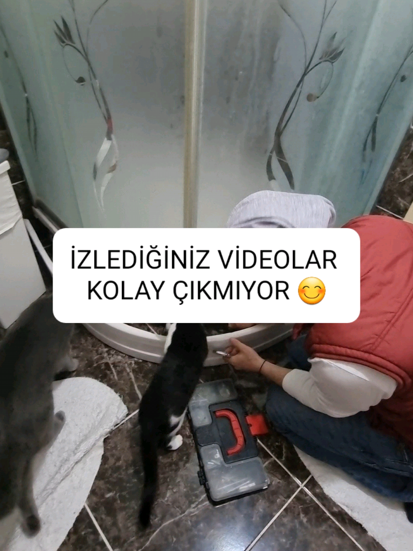 @kedichico