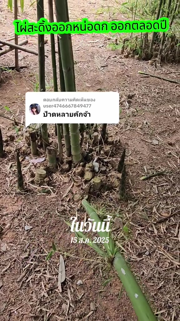 @นัดดาชอป