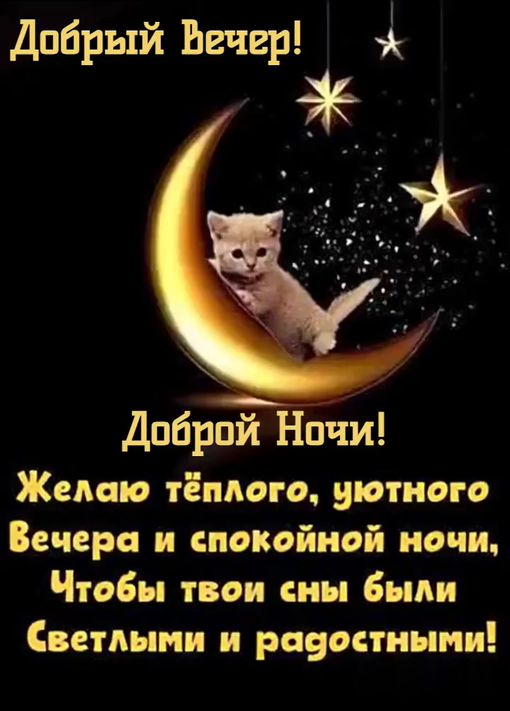 @sveta-schischmakova