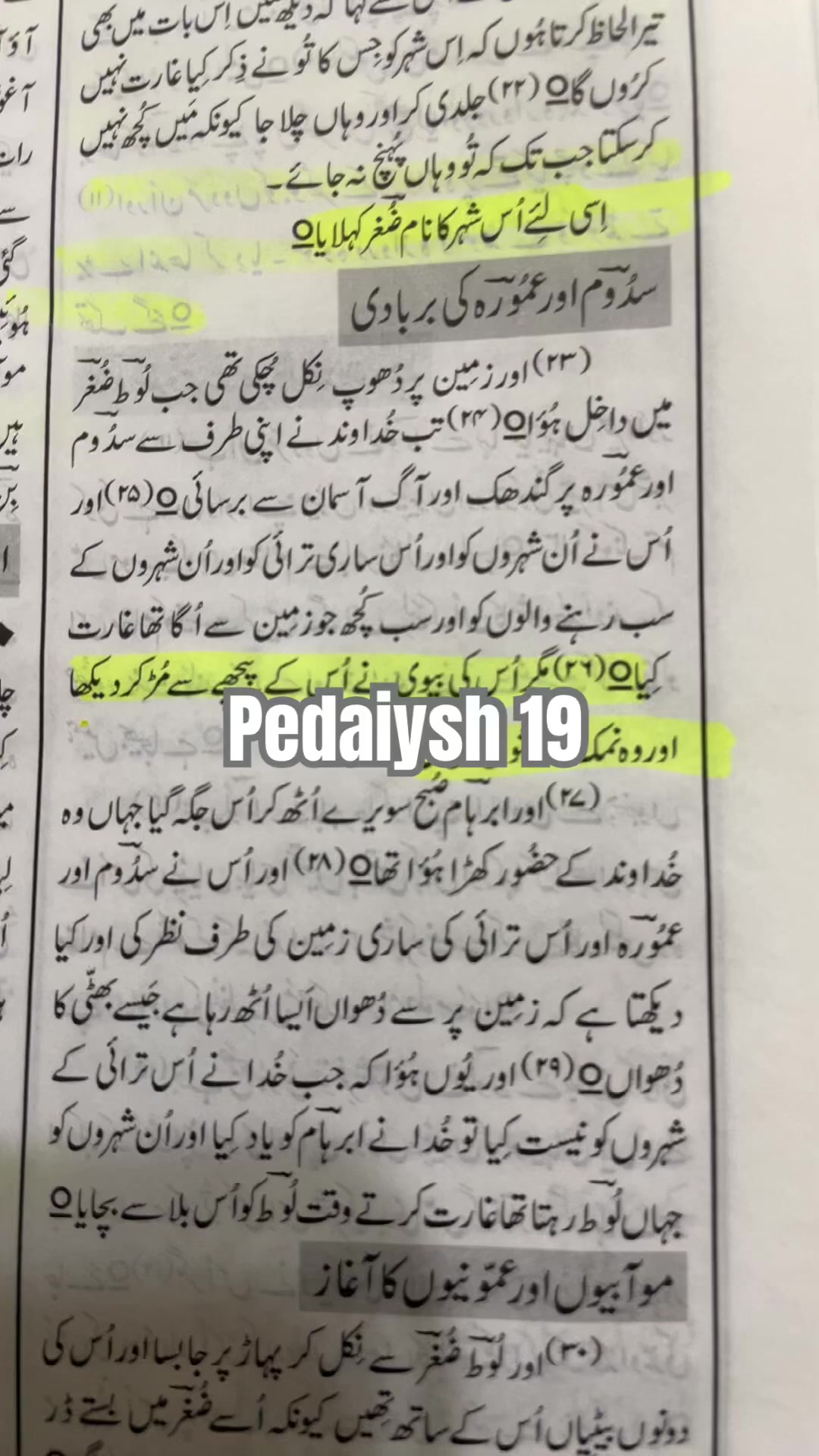 @Tehmina Sattar