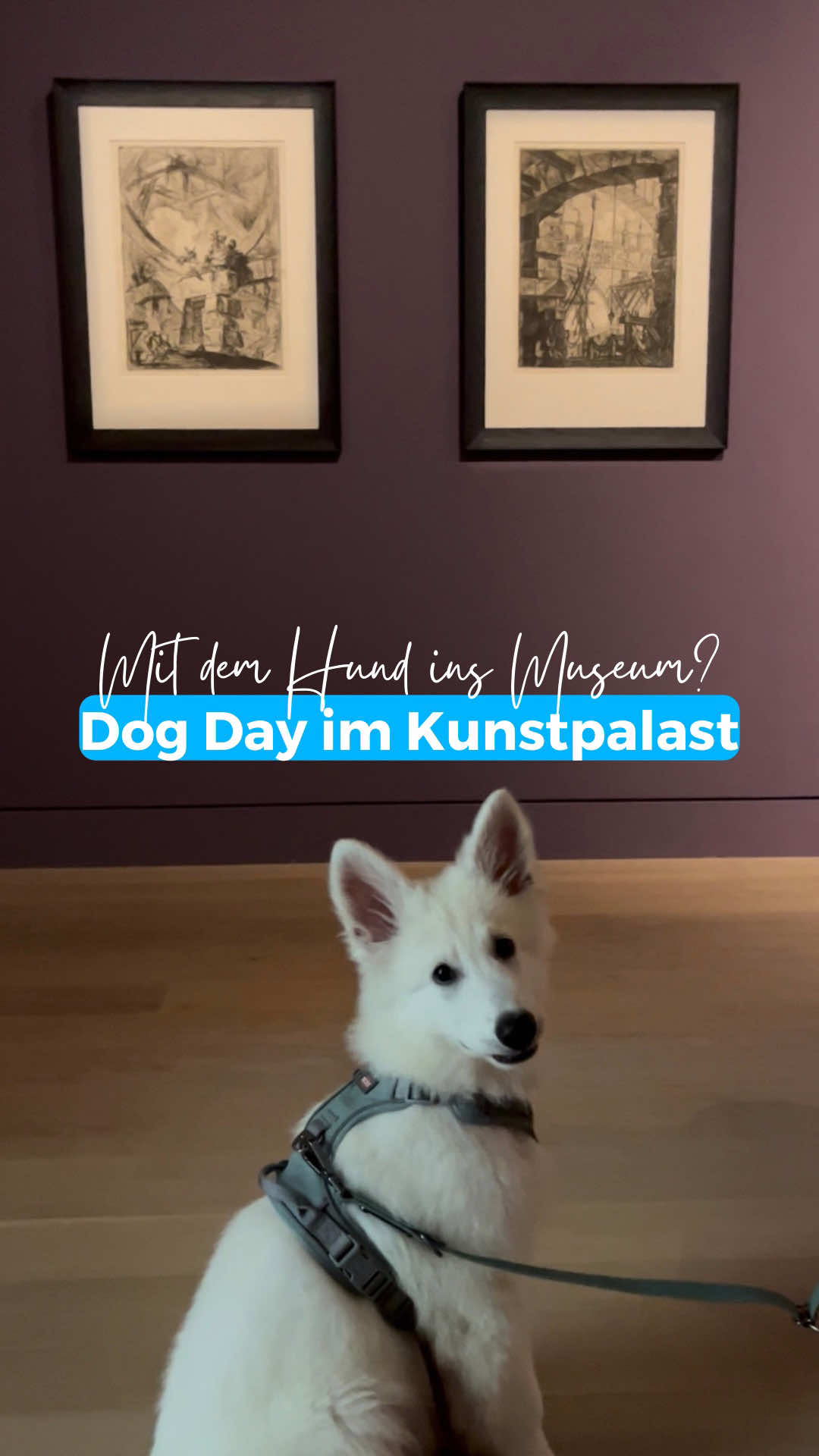 @Düsseldorf TONIGHT