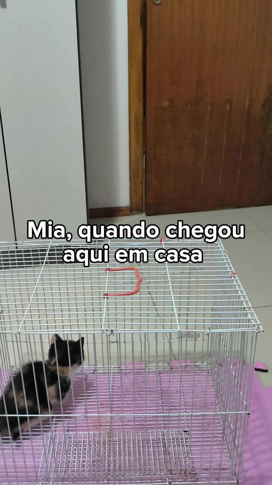 @Natália e Beatriz 🐣