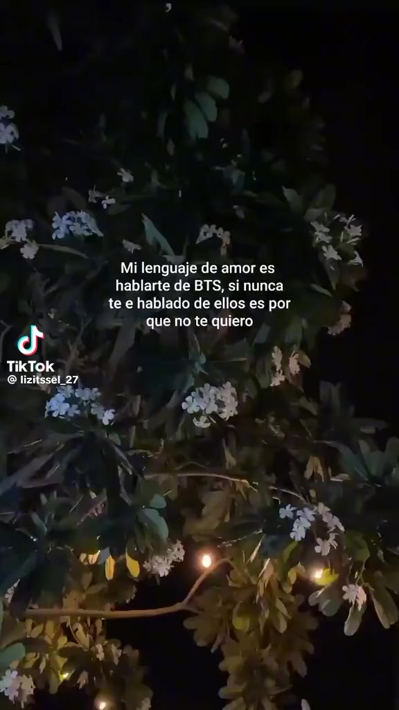 @sara19