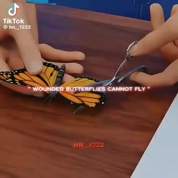 @โค๏ธ๐ข๐ฑ๐ฒ๐ท๐ธ๐ซ๐พ ๐๐ธ๐ฌ๐ฑ๐ธโ๏ธ๊ฅ
