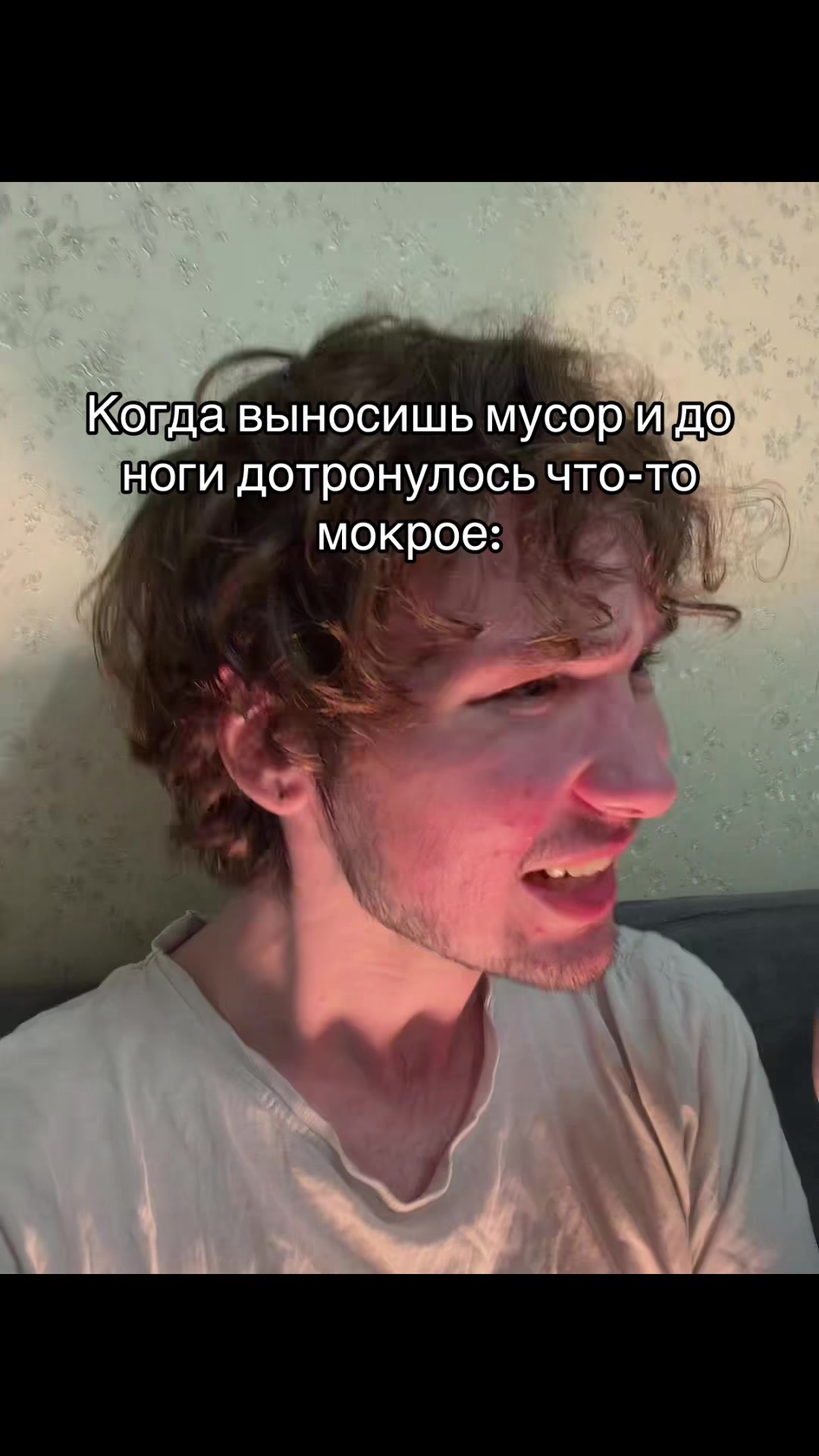 @Liht