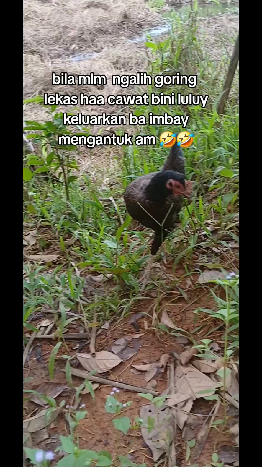 @hadihst_real