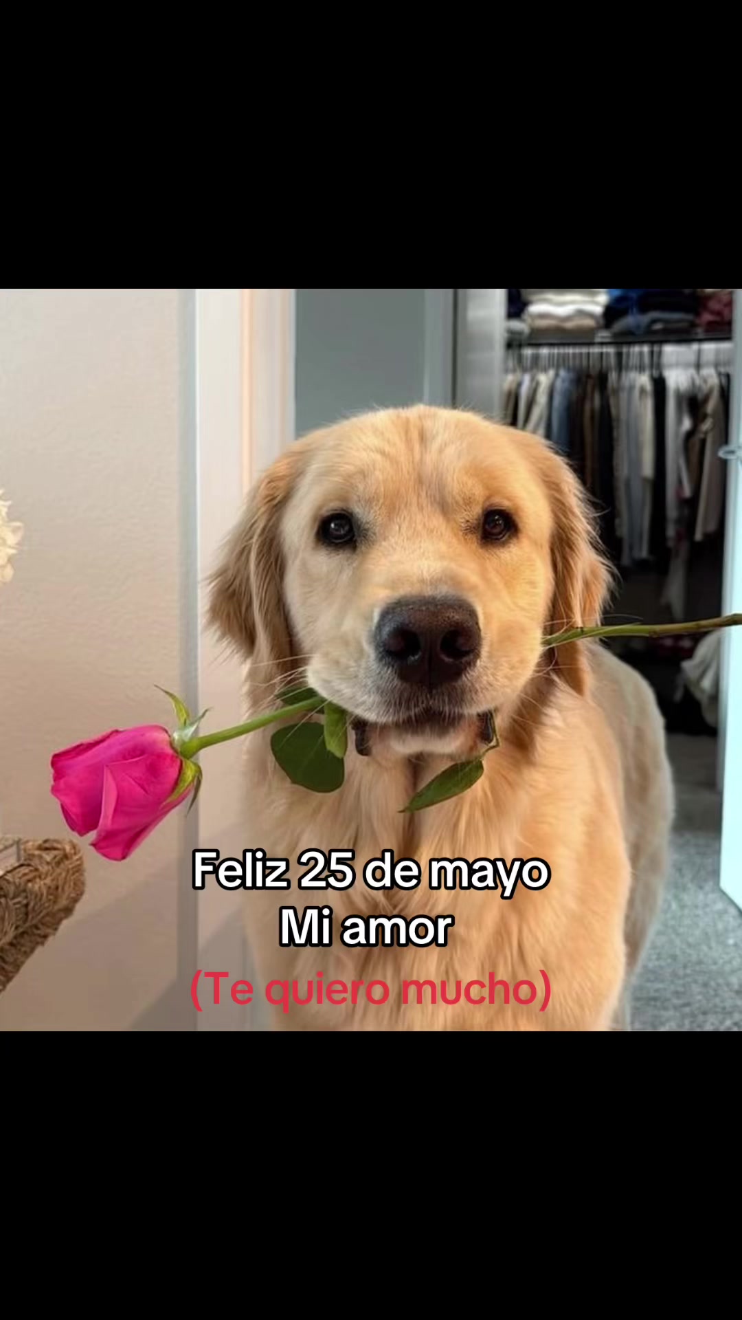 @saulburgosp2.0
